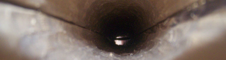 test1