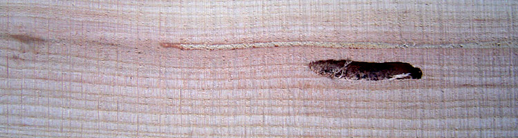 test7